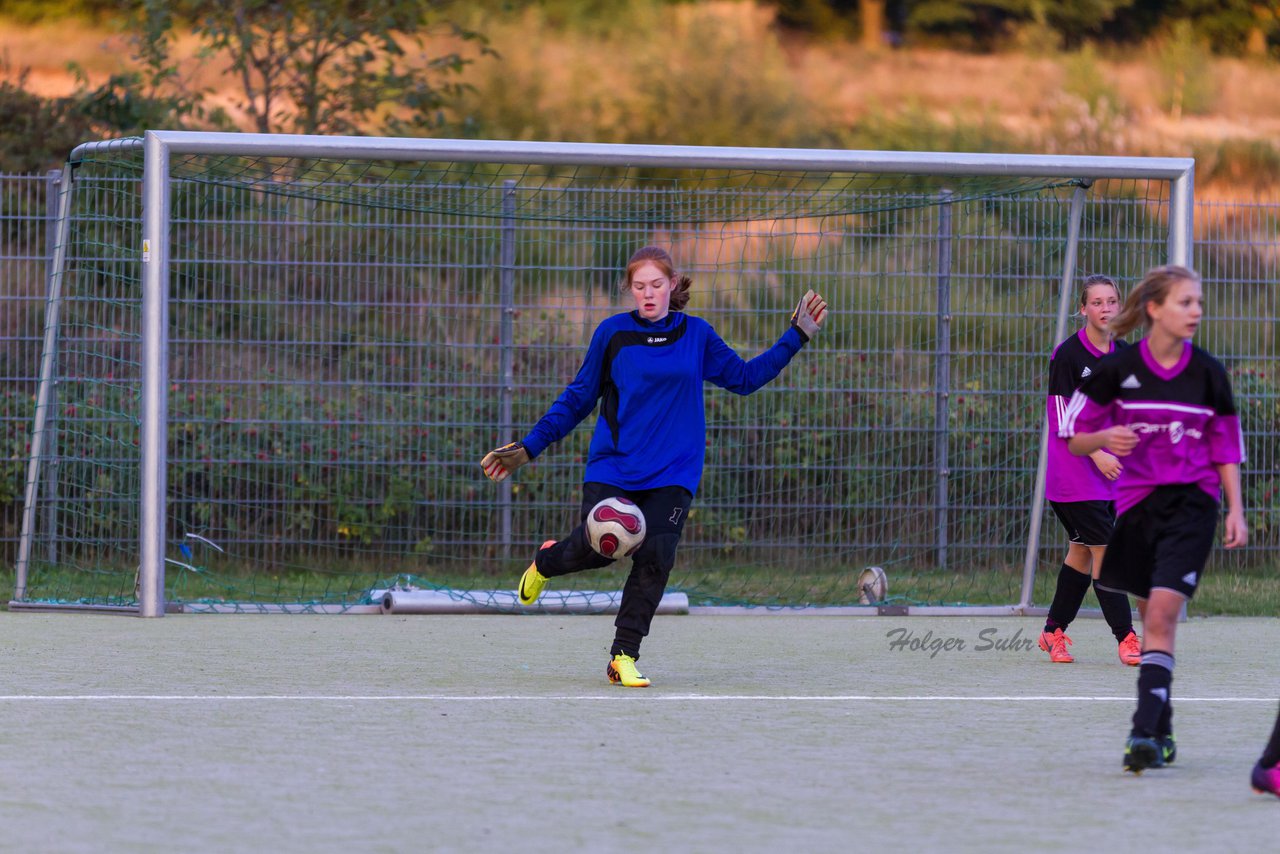 Bild 230 - C-Juniorinnen FSC Kaltenkirchen - SV Wahlstedt : Ergebnis: 1:8